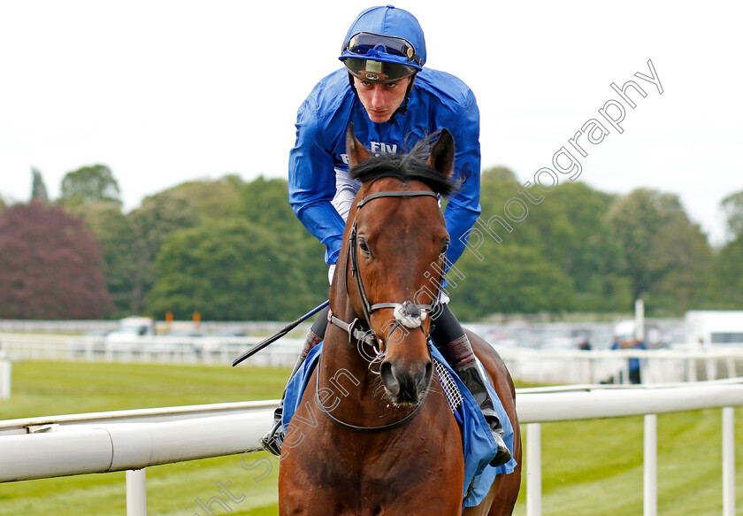 Harry-Angel-0001 
 HARRY ANGEL (Adam Kirby) before winning The Duke Of York Stakes York 16 May 2018 - Pic Steven Cargill / Racingfotos.com