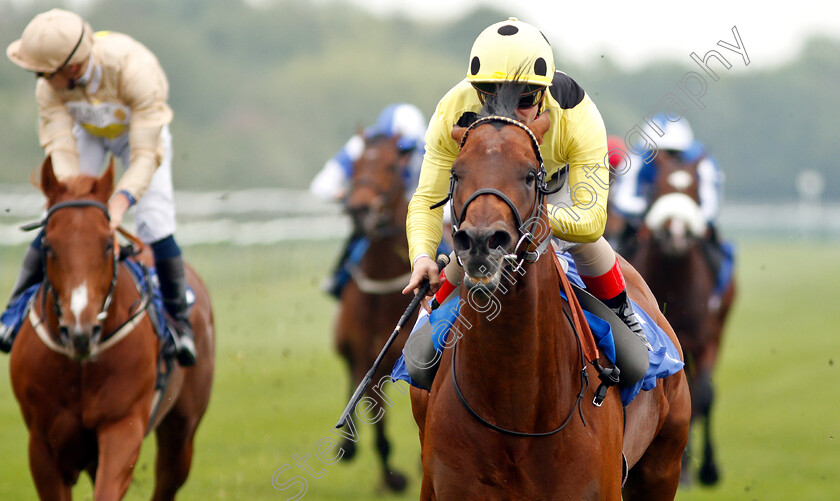 Roseman-0005 
 ROSEMAN (Andrea Atzeni) wins The Join Racing TV Now Novice Stakes Div2
Nottingham 30 Apr 2019 - Pic Steven Cargill / Racingfotos.com