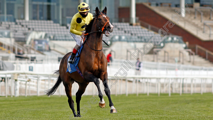 Mark-Of-Gold-0001 
 MARK OF GOLD (Andrea Atzeni)
York 12 May 2021 - Pic Steven Cargill / Racingfotos.com