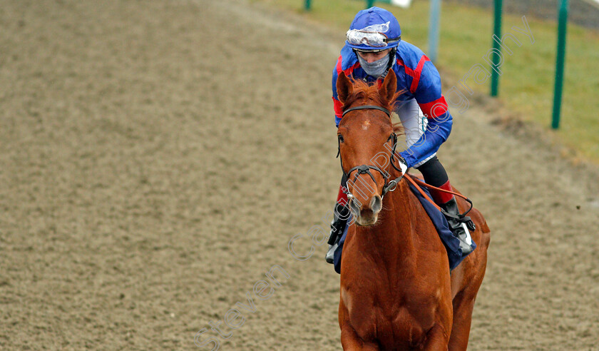 Grain-Of-Sense-0001 
 GRAIN OF SENSE (Robbie Downey)
Lingfield 10 Mar 2021 - Pic Steven Cargill / Racingfotos.com