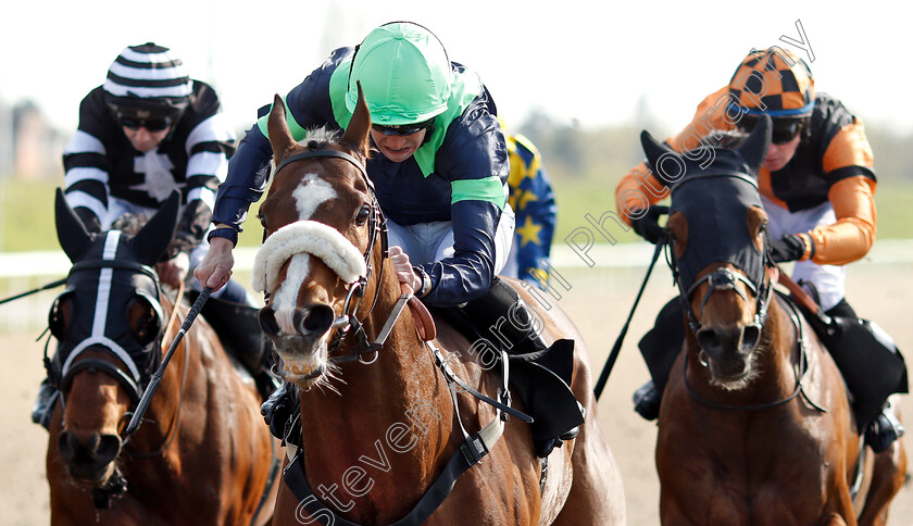 Lion-Hearted-0005 
 LION HEARTED (Mark Crehan) wins The Bet totetrifecta At totesport.com Handicap
Chelmsford 11 Apr 2019 - Pic Steven Cargill / Racingfotos.com