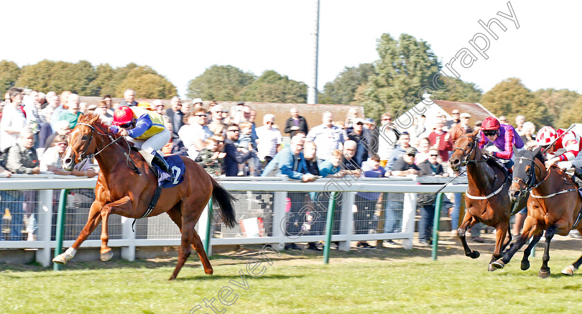 Restless-Rose-0001 
 RESTLESS ROSE (Marco Ghiani) wins The Youngs London Original Fillies Handicap
Yarmouth 18 Sep 2019 - Pic Steven Cargill / Racingfotos.com