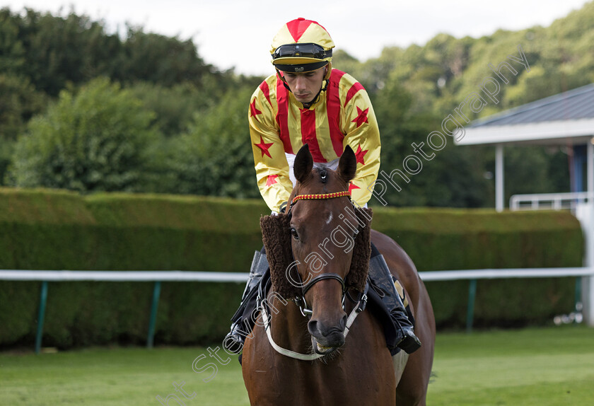 Al-Baahy-0001 
 AL BAAHY (Andrea Pinna)
Nottingham 19 Jul 2024 - Pic Steven Cargill / Megan Dent / Racingfotos.com