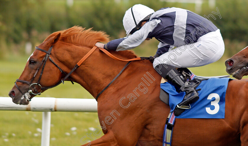 Dante s-View-0005 
 DANTE'S VIEW (Ryan Moore)
Leicester 10 Sep 2019 - Pic Steven Cargill / Racingfotos.com