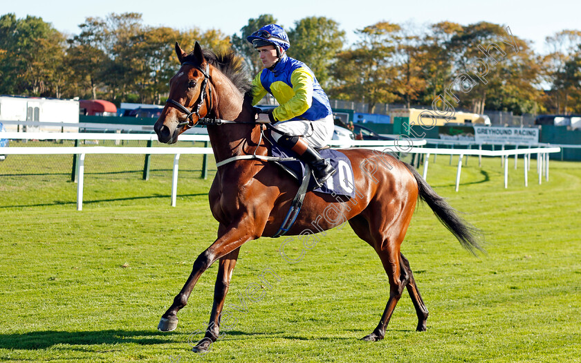 Seraphia-0001 
 SERAPHIA (Dylan Hogan)
Yarmouth 18 Oct 2022 - Pic Steven Cargill / Racingfotos.com