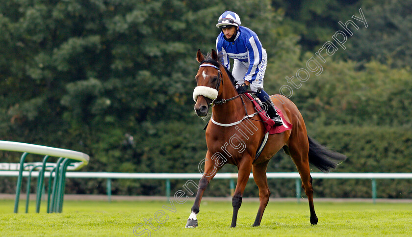 Bielsa-0001 
 BIELSA (Silvestre De Sousa)
Haydock 4 Sep 2020 - Pic Steven Cargill / Racingfotos.com