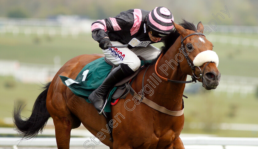 Kupatana-0007 
 KUPATANA (Harry Cobden) wins The EBF Thoroughbred Breeders Association Mares Novices Handicap Chase Series Final
Cheltenham 18 Apr 2019 - Pic Steven Cargill / Racingfotos.com