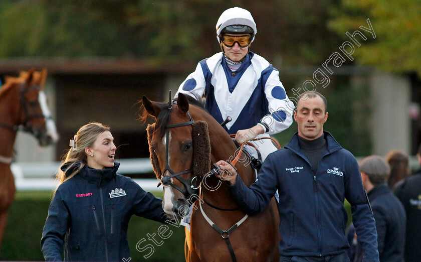 Orchestra-0001 
 ORCHESTRA (Tom Marquand)
Kempton 2 Oct 2024 - pic Steven Cargill / Racingfotos.com