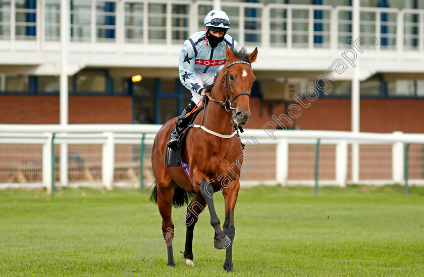 Without-Revenge-0001 
 WITHOUT REVENGE (Thomas Greatrex)
Nottingham 28 Oct 2020 - Pic Steven Cargill / Racingfotos.com