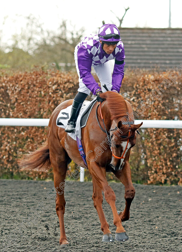 Persica-0001 
 PERSICA (Sean Levey)
Kempton 6 Apr 2024 - Pic Steven Cargill / Racingfotos.com