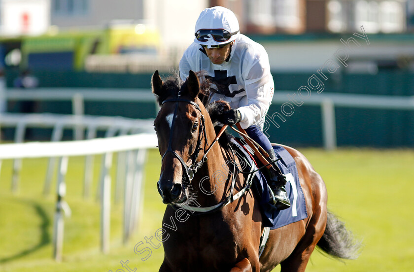 Lovelifenlaughter-0002 
 LOVELIFENLAUGHTER (Silvestre de Sousa)
Yarmouth 17 Sep 2024 - Pic Steven Cargill / Racingfotos.com