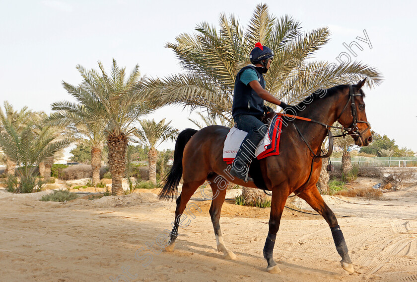 Desert-Encounter-0005 
 DESERT ENCOUNTER training for the Bahrain International Trophy
Rashid Equestrian & Horseracing Club, Bahrain, 18 Nov 2020