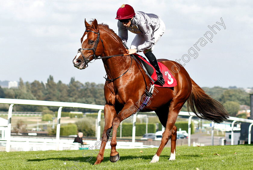 Hathal-0001 
 HATHAL (William Buick)
Sandown 19 Sep 2018 - Pic Steven Cargill / Racingfotos.com