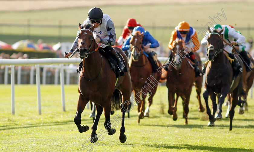 Righthere-Rightnow-0007 
 RIGHTHERE RIGHTNOW (Robert Havlin) wins The Maritime Cargo Services Road Haulage Hustle EBF Newcomers Maiden Stakes
Newmarket 9 Aug 2024 - Pic Steven Cargill / Racingfotos.com