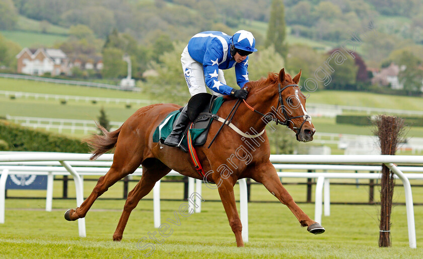 Monsieur-Gibraltar-0004 
 MONSIEUR GIBRALTAR (Lorcan Williams) wins The Brian Babbage Memoral Open Hunters Chase Cheltenham 4 May 2018 - Pic Steven Cargill / Racingfotos.com