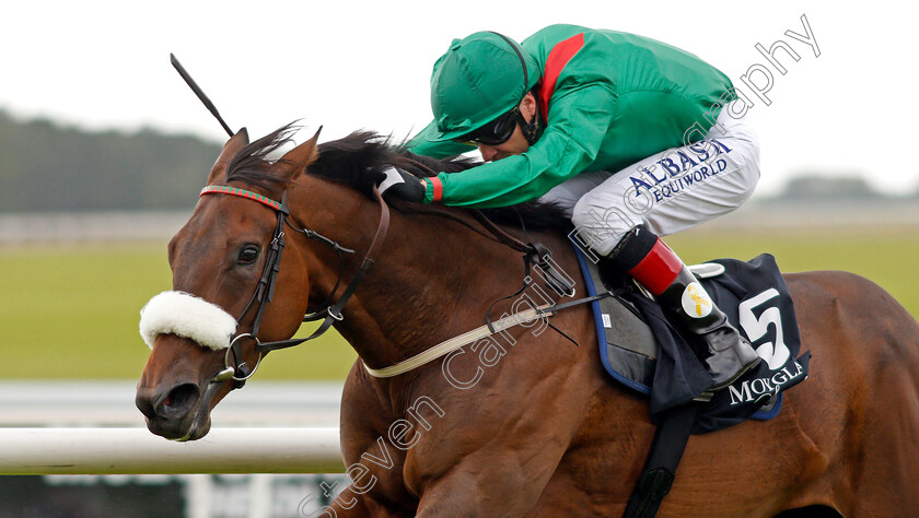 Shamreen-0006 
 SHAMREEN (Pat Smullen) wins The Moyglare Jewels Blandford Stakes Curragh 10 Sep 2017 - Pic Steven Cargill / Racingfotos.com