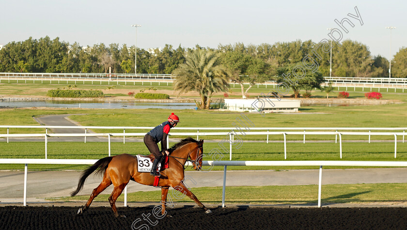 Charging-Thunder-0001 
 CHARGING THUNDER training at the Dubai World Cup Carnival
Meydan 5 Jan 2023 - Pic Steven Cargill / Racingfotos.com