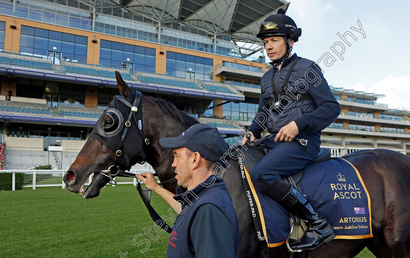 Artorius-0008 
 ARTORIUS (Jamie Spencer) - Australia to Ascot, preparing for the Royal Meeting.
Ascot 10 Jun 2022 - Pic Steven Cargill / Racingfotos.com