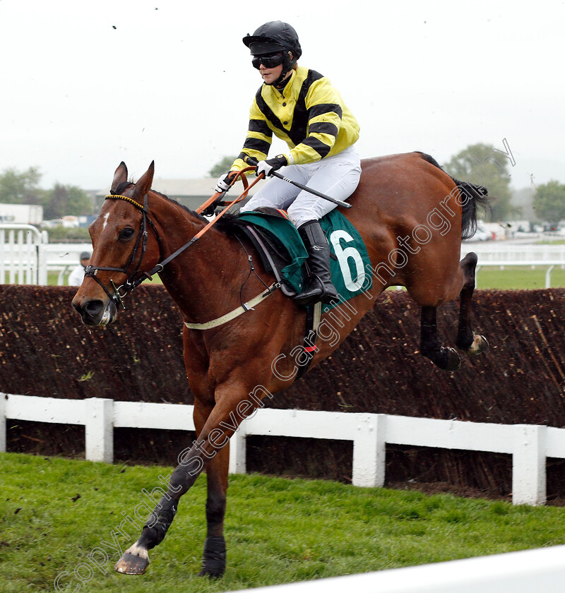 Moscow-Prices-0001 
 MOSCOW PRICES (Lucy Mager) 
Cheltenham 3 May 2019 - Pic Steven Cargill / Racingfotos.com