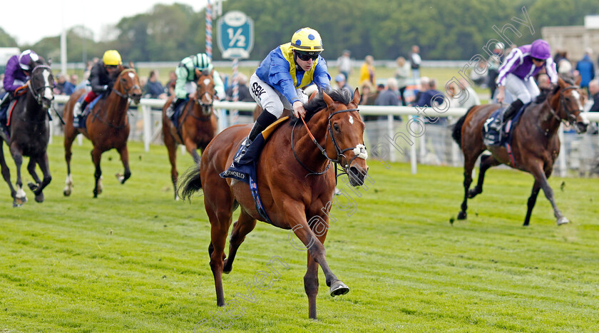 Desert-Crown-0005 
 DESERT CROWN (Richard Kingscote) wins The Al Basti Equiworld Dubai Dante Stakes
York 12 May 2022 - Pic Steven Cargill / Racingfotos.com