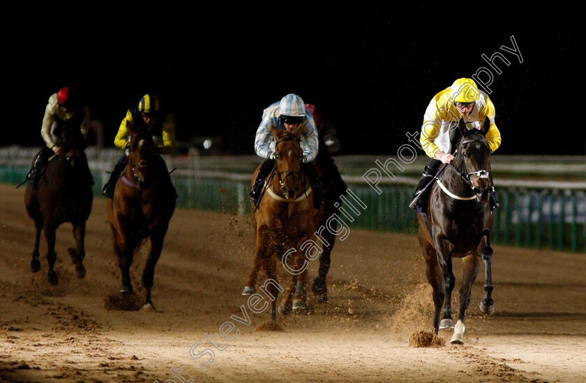 Ladyleys-Beluga-0004 
 LADYLEYS BELUGA (Clifford Lee) wins The Betway Maiden Stakes
Southwell 15 Jan 2020 - Pic Steven Cargill / Racingfotos.com