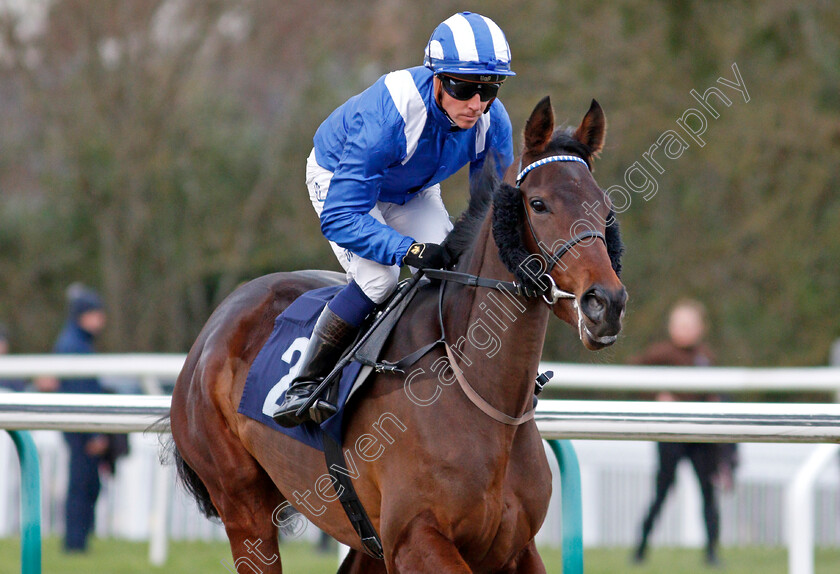 Azaheer-0002 
 AZAHEER (Jim Crowley)
Lingfield 1 Dec 2021 - Pic Steven Cargill / Racingfotos.com