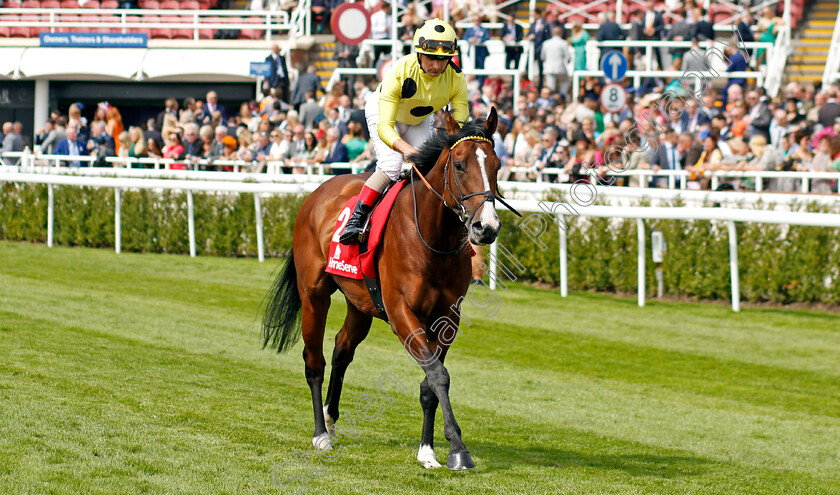 Dubai-Poet-0001 
 DUBAI POET (Andrea Atzeni)
Chester 5 May 2022 - Pic Steven Cargill / Racingfotos.com