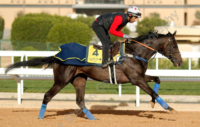 Calif-0001 
 CALIF training for The Neom Turf Cup
King Abdulaziz Racecourse, Saudi Arabia 20 Feb 2024 - Pic Steven Cargill / Racingfotos.com