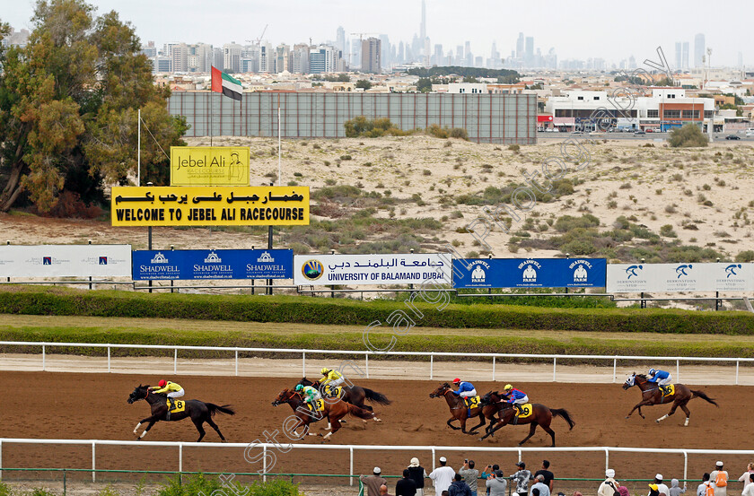 Ode-To-Autumn-0005 
 ODE TO AUTUMN (Pat Cosgrave) wins The Shadwell Handicap
Jebel Ali 24 Jan 2020 - Pic Steven Cargill / Racingfotos.com