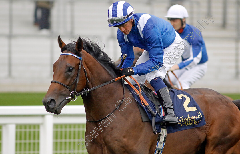 Al-Samed-0001 
 AL SAMED (Jim Crowley)
Ascot 6 Sep 2024 - Pic Steven Cargill / Racingfotos.com