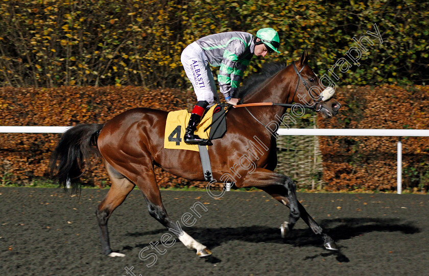 Keystroke-0001 
 KEYSTROKE (Adam Kirby) Kempton 22 Nov 2017 - Pic Steven Cargill / Racingfotos.com