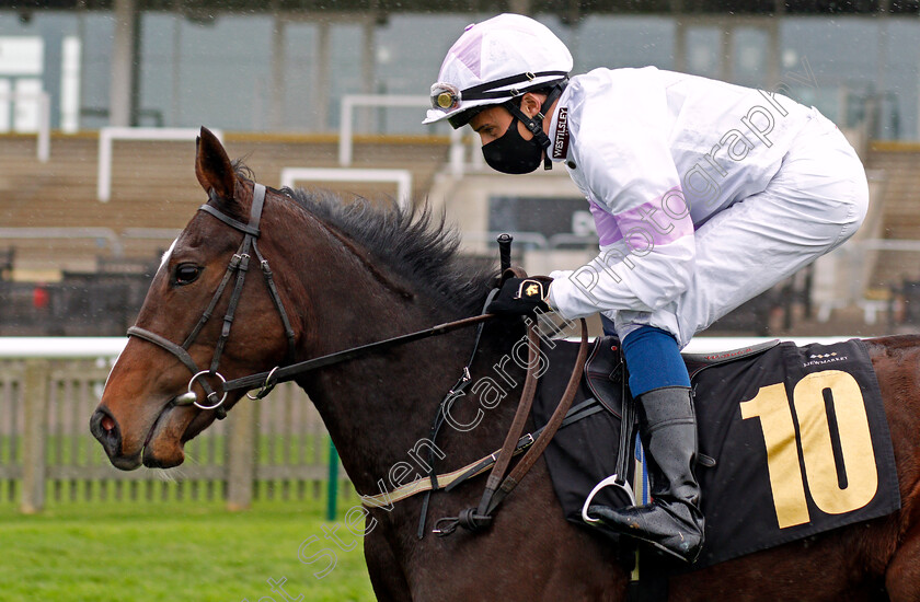 Urban-Violet-0001 
 URBAN VIOLET (William Buick) winner of The Prestige Vehicles British EBF Fillies Novice Stakes Div1
Newmarket 31 Oct 2020 - Pic Steven Cargill / Racingfotos.com