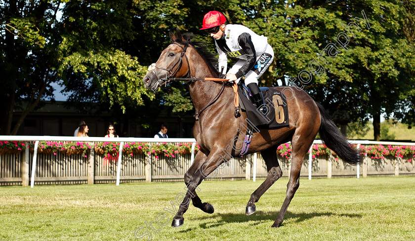 Perfect-Inch-0001 
 PERFECT INCH (Stevie Donohoe) 
Newmarket 28 Jun 2019 - Pic Steven Cargill / Racingfotos.com