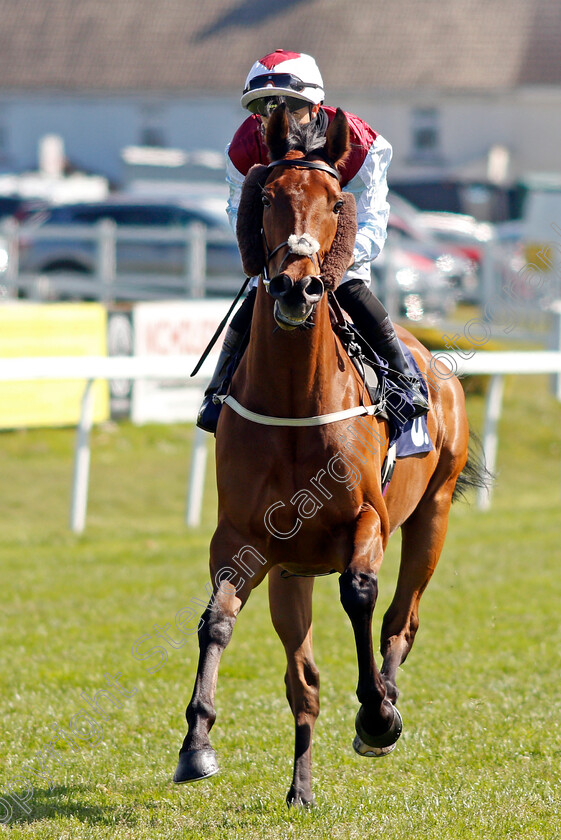 Sir-Canford-0001 
 SIR CANFORD (Silvestre De Sousa)
Yarmouth 19 May 2021 - Pic Steven Cargill / Racingfotos.com