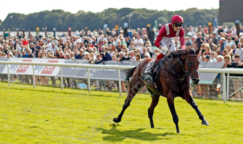 Mishriff-0003 
 MISHRIFF (David Egan) wins The Juddmonte International
York 18 Aug 2021 - Pic Steven Cargill / Racingfotos.com