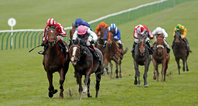 Haveyoumissedme-0004 
 HAVEYOUMISSEDME (left, Andrew Mullen) beats SIDE SHOT (right) in The Bet In-Play At Mansionbet Nursery
Newmarket 31 Oct 2020 - Pic Steven Cargill / Racingfotos.com