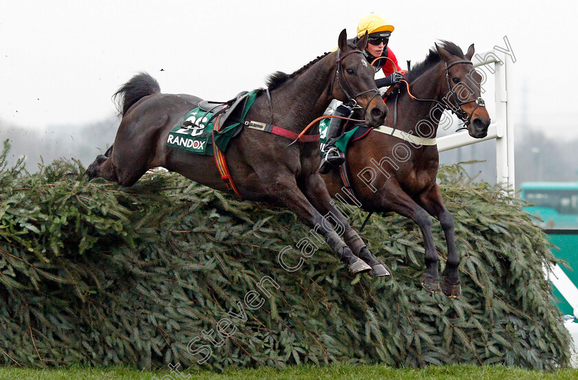 Ultragold-0006 
 ULTRAGOLD (right, Harry Cobden) jumps the last with the loose NEWSWORTHY on his way to winning The Randox Health Topham Handicap Chase Aintree 13 Apr 2018 - Pic Steven Cargill / Racingfotos.com