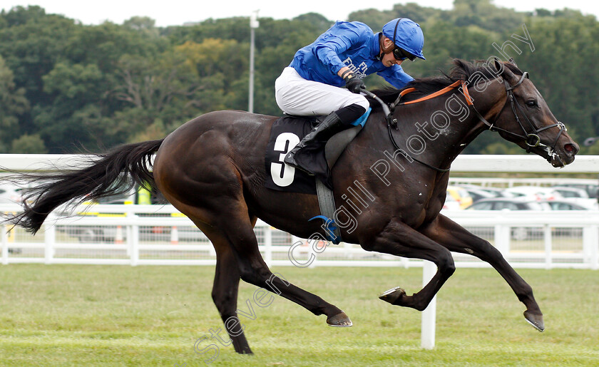 Hamada-0006 
 HAMADA (James Doyle) wins The Irish Thoroughbred Marketing Geoffrey Freer Stakes
Newbury 18 Aug 2018 - Pic Steven Cargill / Racingfotos.com