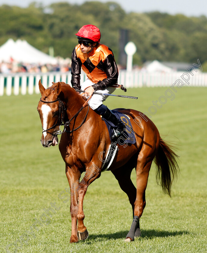 Mondo-Man-0001 
 MONDO MAN (William Buick)
Royal Ascot 21 Jun 2024 - Pic Steven Cargill / Racingfotos.com