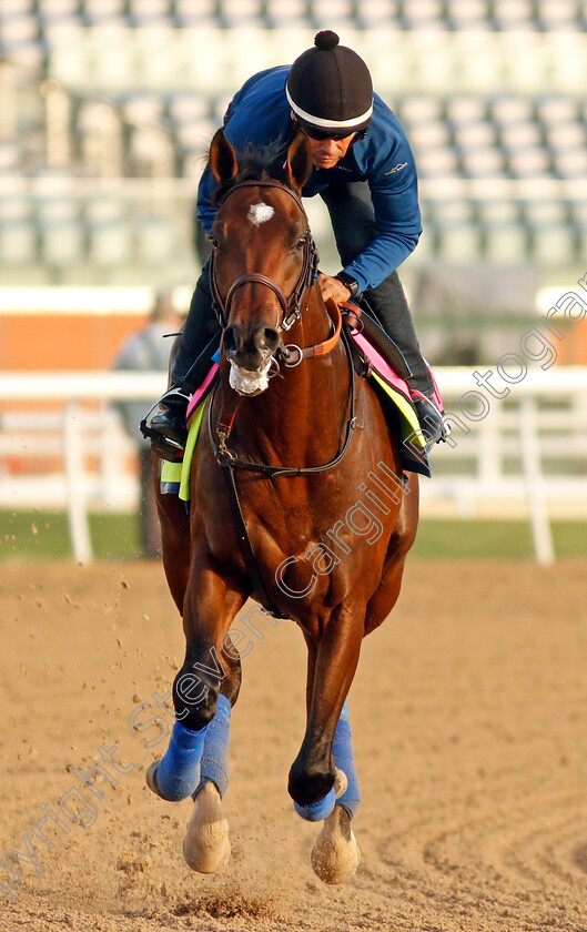 Pinehurst-0002 
 PINEHURST training for the UAE Derby
Meydan, Dubai, 23 Mar 2022 - Pic Steven Cargill / Racingfotos.com