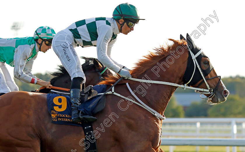 Hard-One-To-Please-0003 
 HARD ONE TO PLEASE (Elione Chaves)
Bro Park, Sweden 15 Sep 2024 - Pic Steven Cargill / Racingfotos.com