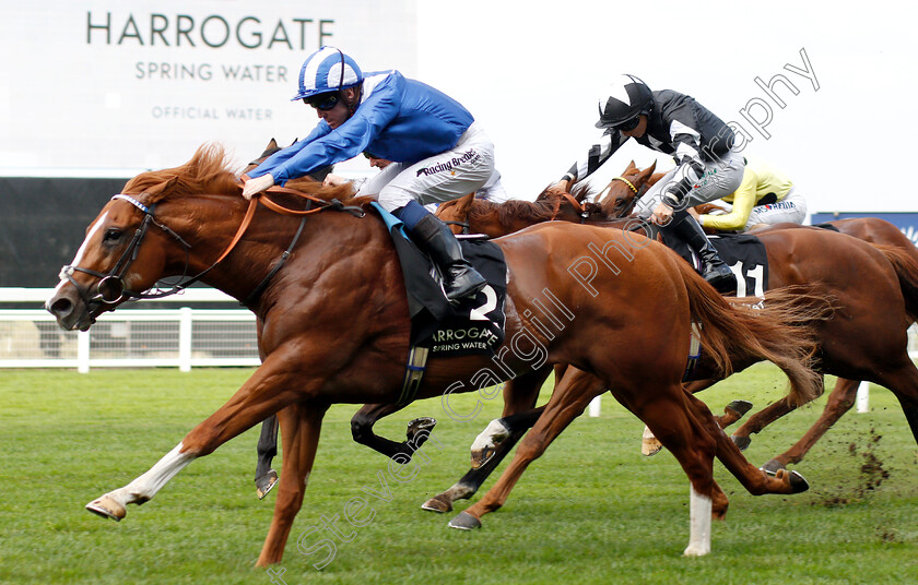 Tabdeed-0004 
 TABDEED (Jim Crowley) wins The Original Harrogate Water Handicap
Ascot 5 Oct 2018 - Pic Steven Cargill / Racingfotos.com