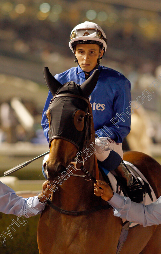 Expressiy-0001 
 EXPRESSIY (William Buick) Meydan 18 Jan 2018 - Pic Steven Cargill / Racingfotos.com