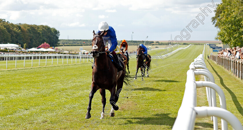 Storm-Damage-0001 
 STORM DAMAGE (Oisin Murphy) wins The Join Racingtv Now Handicap
Newmarket 7 Aug 2021 - Pic Steven Cargill / Racingfotos.com