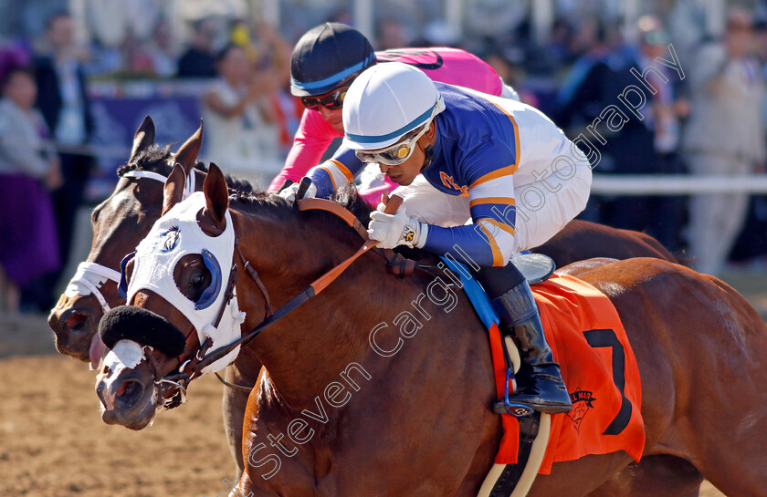 Speedy-Wilson-0001 
 SPEEDY WILSON (Armando Ayuso) wins The Golden State Juvenile Stakes
Del Mar USA 1 Nov 2024 - Pic Steven Cargill / Racingfotos.com