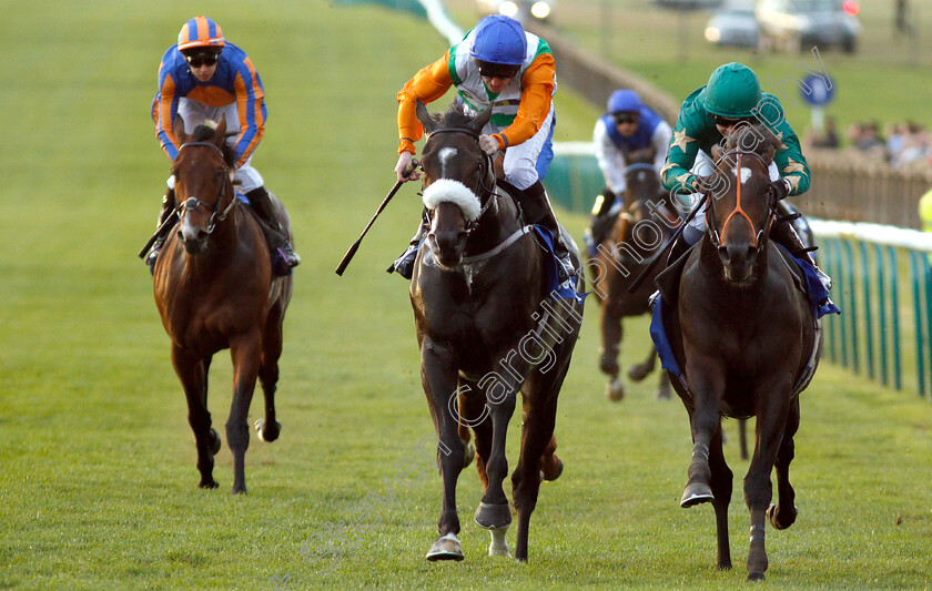 Euginio-0003 
 EUGINIO (right, Hayley Turner) beats FOREST RANGER (left) in The Darley Stakes
Newmarket 13 Oct 2018 - Pic Steven Cargill / Racingfotos.com