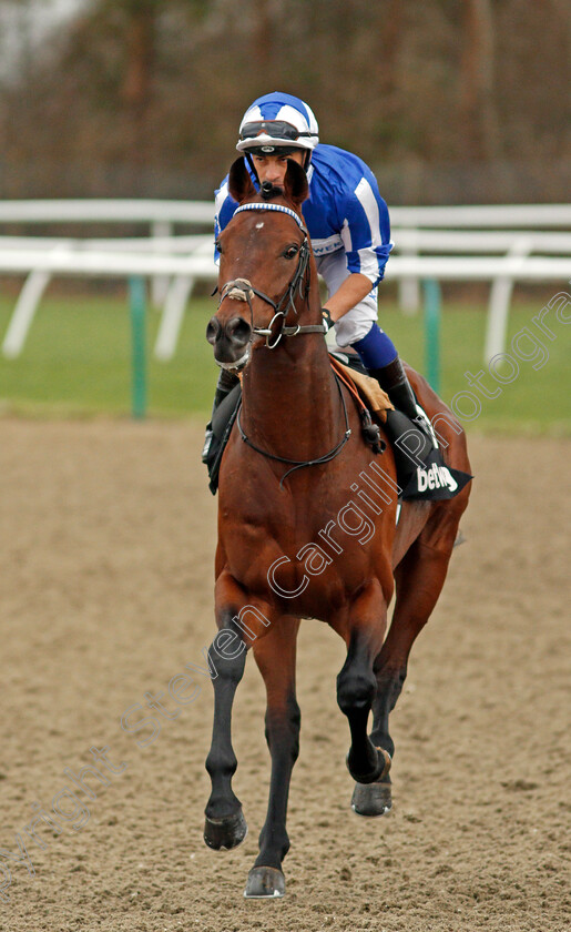 Bangkok-0002 
 BANGKOK (Silvestre De Sousa)
Lingfield 22 Feb 2020 - Pic Steven Cargill / Racingfotos.com