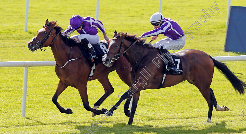 Happily-0002 
 HAPPILY (right, Donnacha O'Brien) beats MAGICAL (farside) in The Moyglare Stud Stakes Curragh 10 Sep 2017 - Pic Steven Cargill / Racingfotos.com