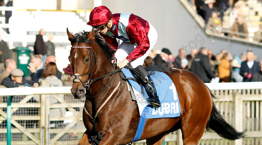 Jumby-0001 
 JUMBY (Harry Davies)
Newmarket 11 Oct 2024 - Pic Steven Cargill / Racingfotos.com