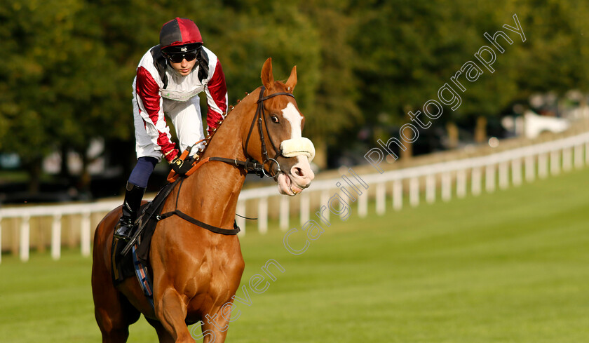 Squeezebox-0009 
 SQUEEZEBOX (Frederick Larson) winner of The Join Racing TV Now Handicap
Newmarket 28 Jul 2023 - Pic Steven Cargill / Racingfotos.com